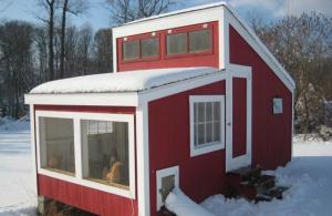 How to build a chicken coop yourself?